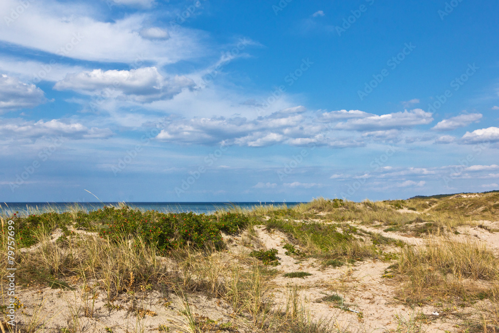 Strand in Tisvildeleje - Dänemark 9