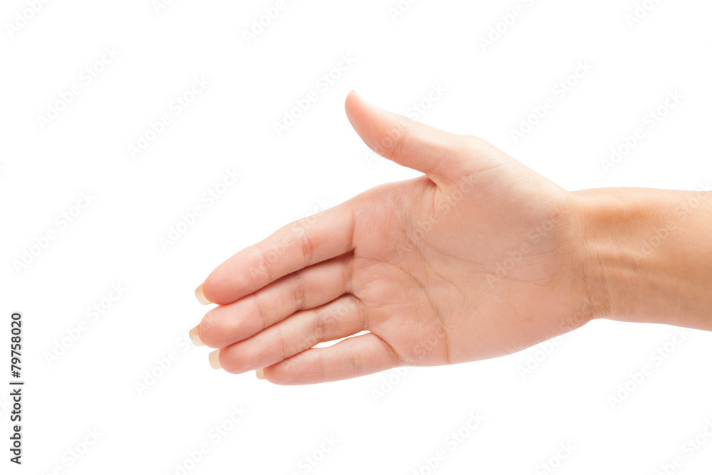 Two hands isolated on a white background Two hands isolated on a white background