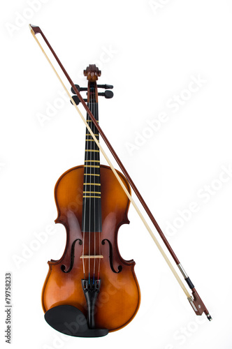 violin on a white background