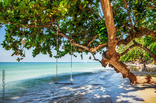 Swings and tree on beach.