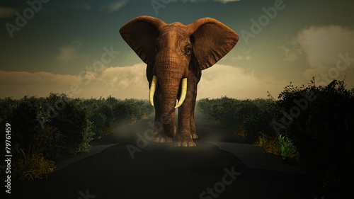 Photography 3D elephant walking towards camera