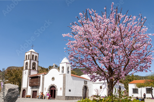 Main square of Santiago del Teide and almond tree