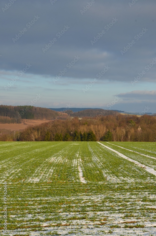 Feld ruht im Winter
