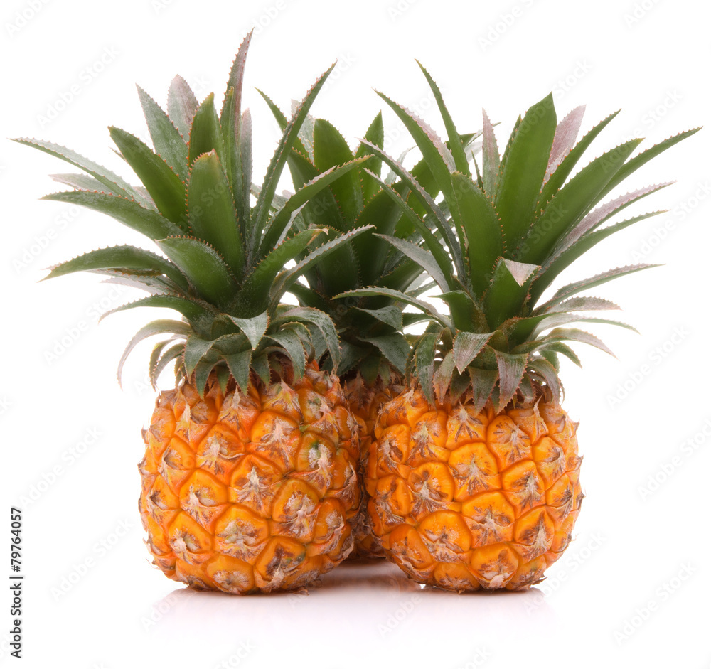 Pineapple tropical fruit or ananas Pineapple tropical fruit or ananas