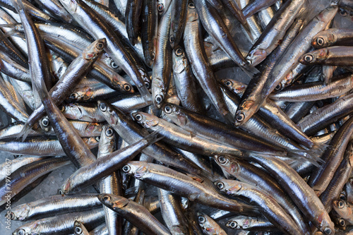 Fresh sprat on a fish market