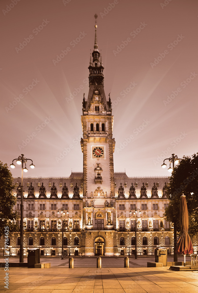 Town Hall in Hamburg, Germany