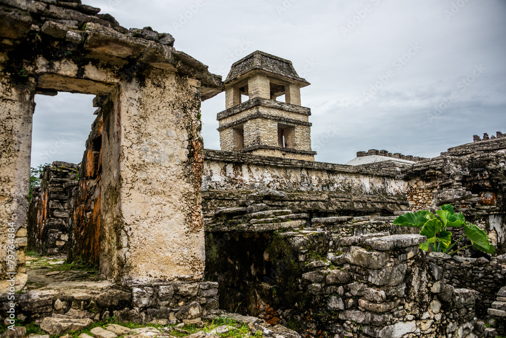 Naklejka premium Palenque Mayan City. Ruins in the Jungle, Chiapas, traveling thr