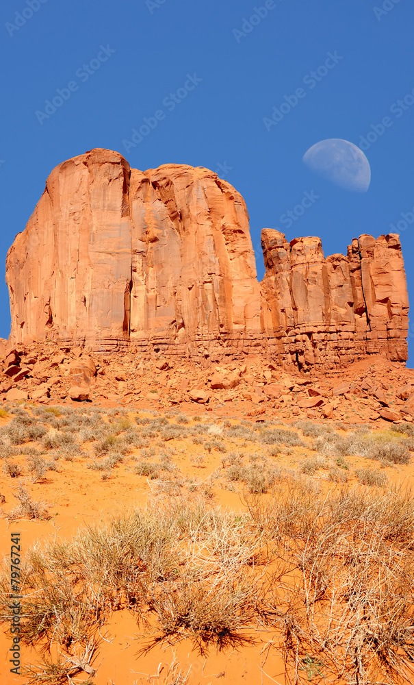 Fototapeta premium Monument Valley