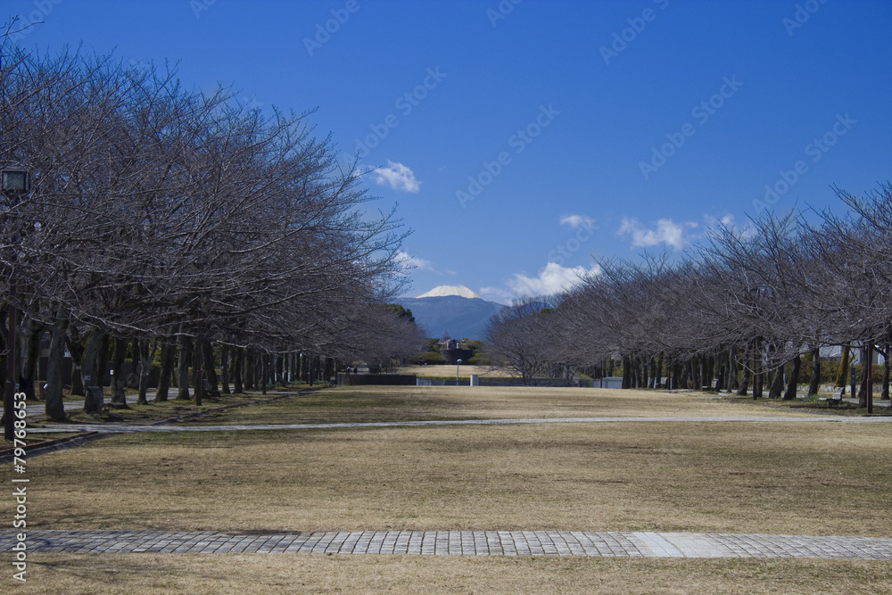 多摩センター・富士山が見える公園