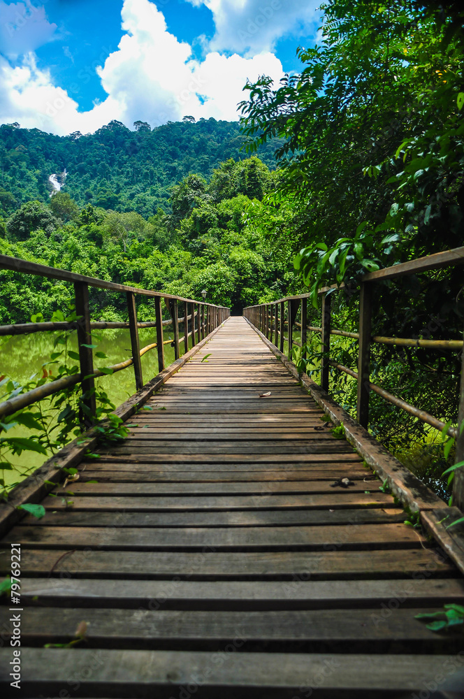 wood bridge