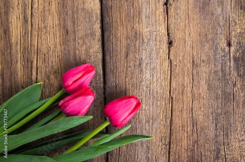 pink tulips on old wooden background