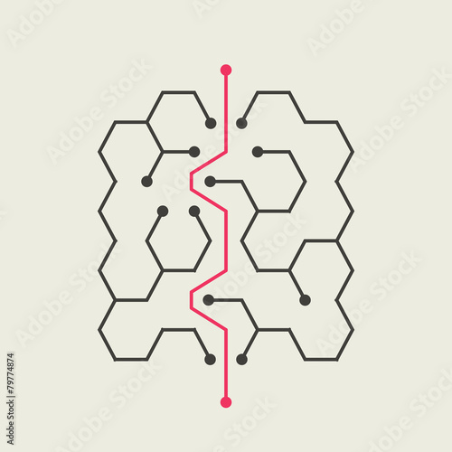 trendy hexagon labyrinth