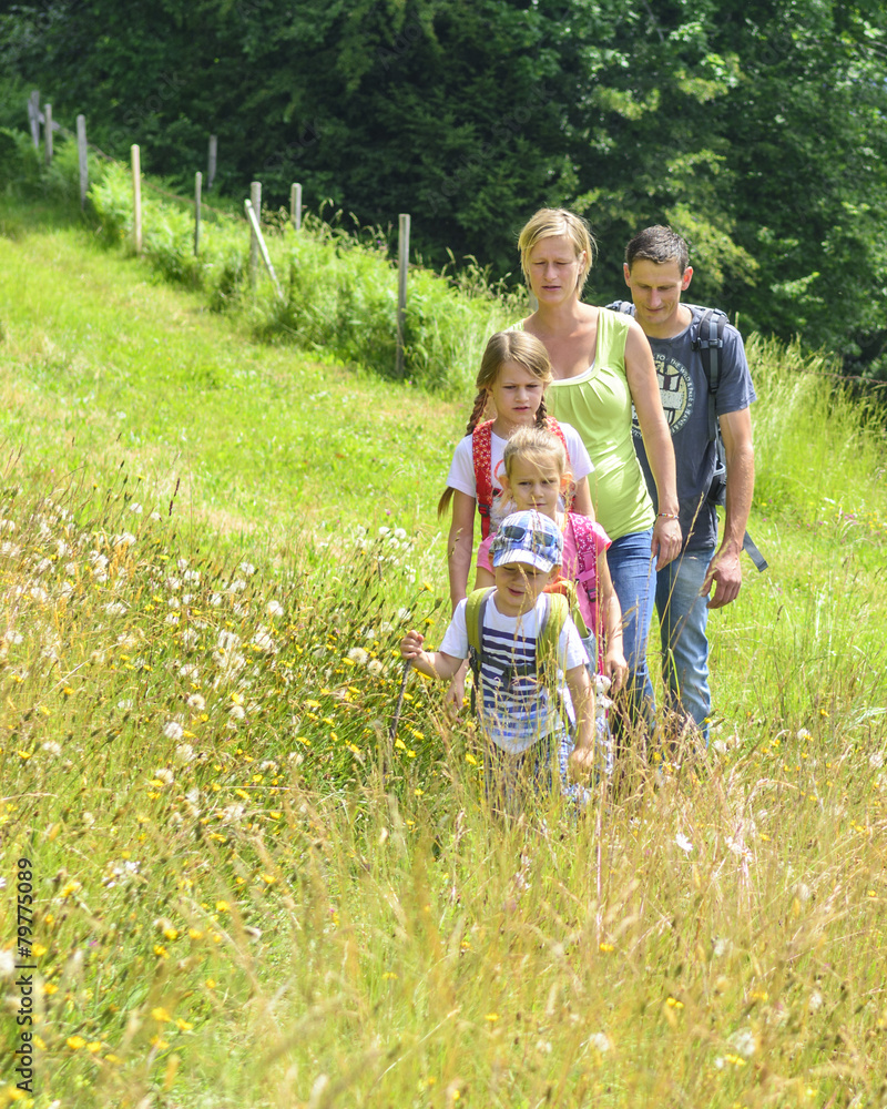 Fototapeta premium Ausflug im Grünen