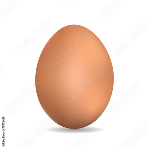 Egg realistic orange on a white background.