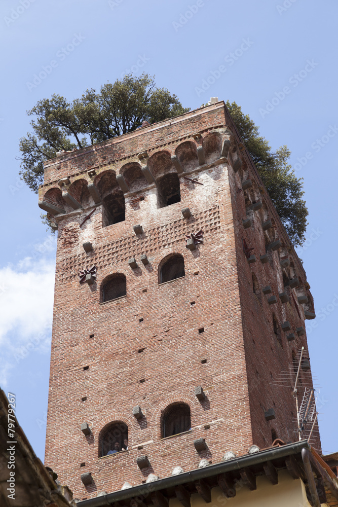 Torre del Guinigi, Lucca