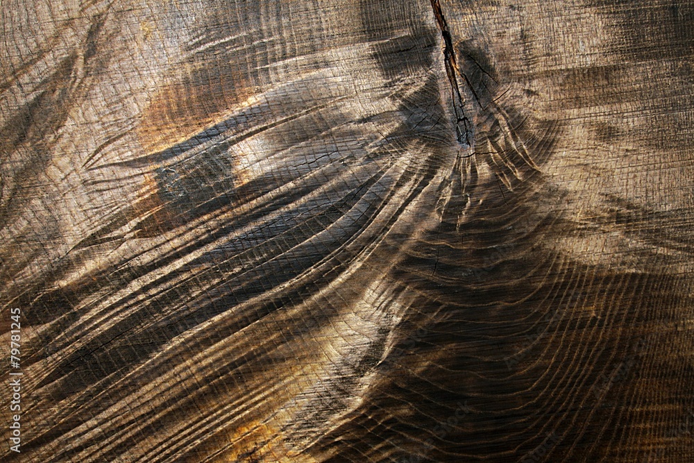 Fototapeta premium wooden background