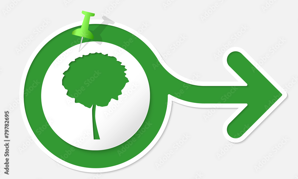 Green arrow with white frame and tree symbol Green arrow with white frame and tree symbol
