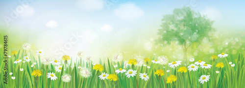 Vector spring landscape.