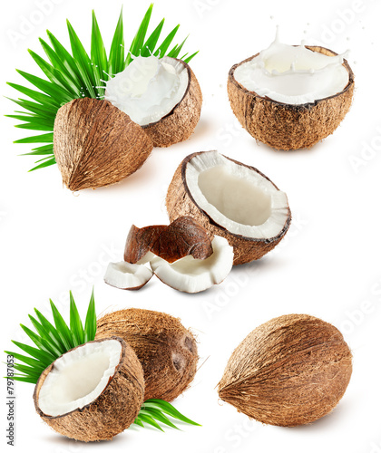 set of coconuts isolated on the white background