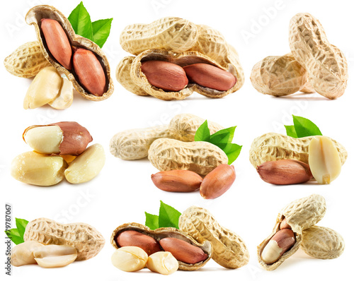 set of peanuts isolated on the white background