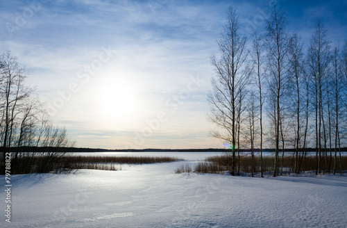 Winter landscape with lake