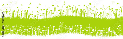 Blumenwiese Frühlingswiese Vektor Hintergrund