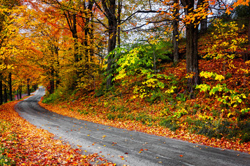 Fall in New England winding road with colorful leaves. Vermont