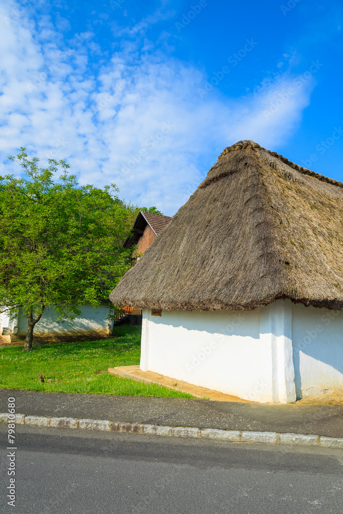 House with thatched roof along a rural road, Burgenland, Austria House with thatched roof along a rural road, Burgenland, Austria