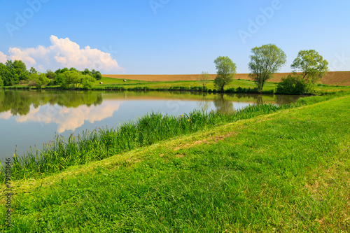 Fototapeta Naklejka Na Ścianę i Meble -  Lake in countryside landscape in spring, Burgenland, Austria
