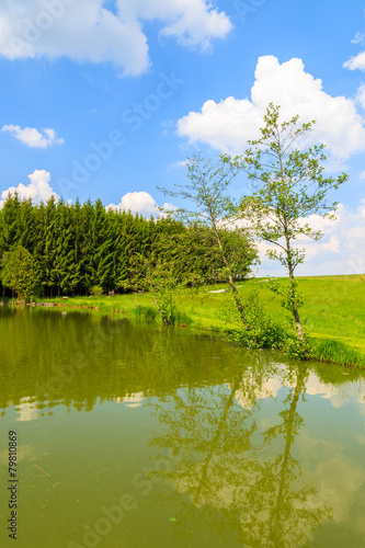 Lake in countryside landscape in spring, Burgenland, Austria