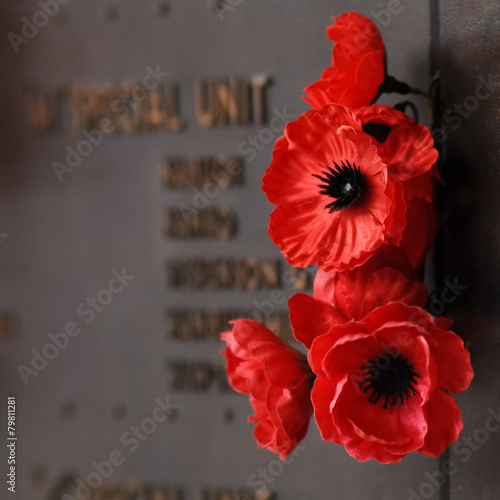 Red poppy to honour veterans in the World War
