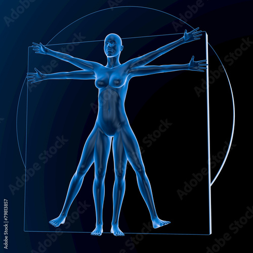 Da Vinci Vitruvian Man, Woman, transparent