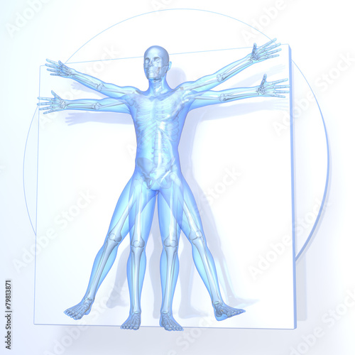 Da Vinci Vitruvian Man, transparent
