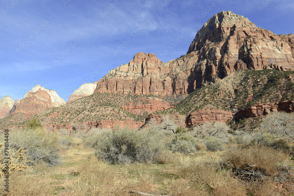 Fototapeta premium Red rock canyon landscape, Zion National Park, Utah