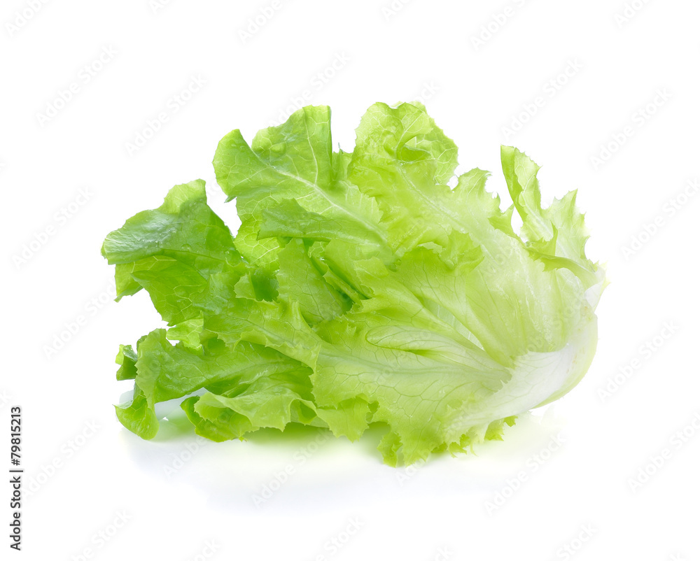 Green leaves lettuce isolated on white background Green leaves lettuce isolated on white background
