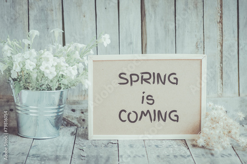 Spring is coming message on corkboard and potted flower by woode
