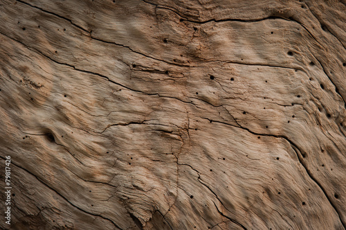 Driftwood textured photo