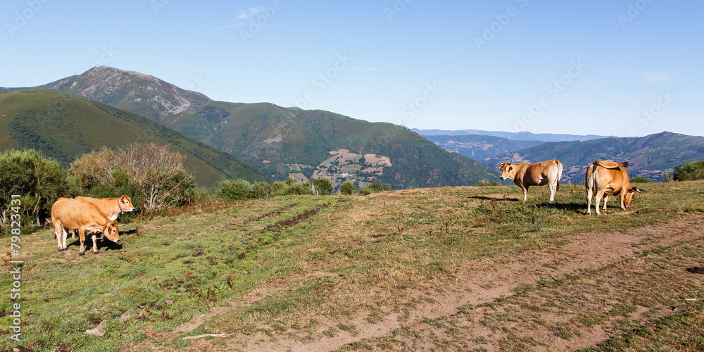 Fototapeta premium Asturias