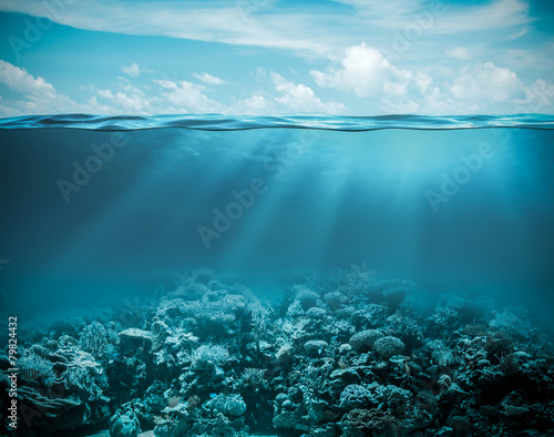 Obraz na plátně Moře nebo oceán pod vodou hluboké přírodní pozadí