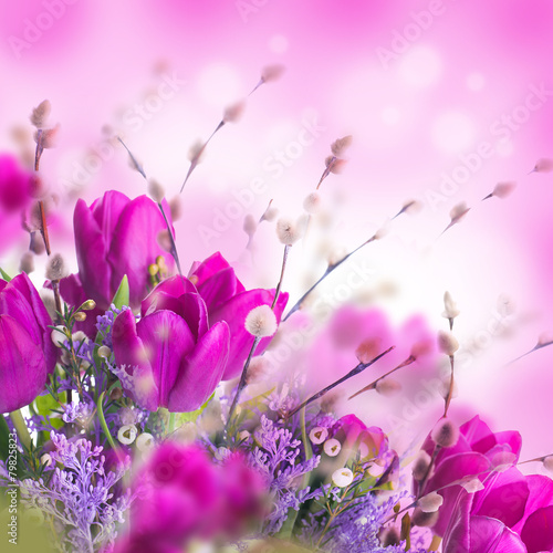 Fototapeta Naklejka Na Ścianę i Meble -  Blue tulips with mimosa , spring background