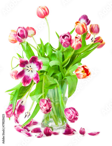 Fototapeta Naklejka Na Ścianę i Meble -  Tulpen, Blütenblätter, Nostalgie