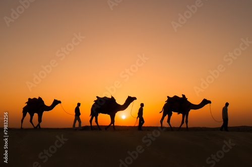 Silhouette camels in Thar desert