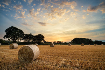 Rideaux Beige Rural landscape image of Summer sunset over field of hay bales  © veneratio