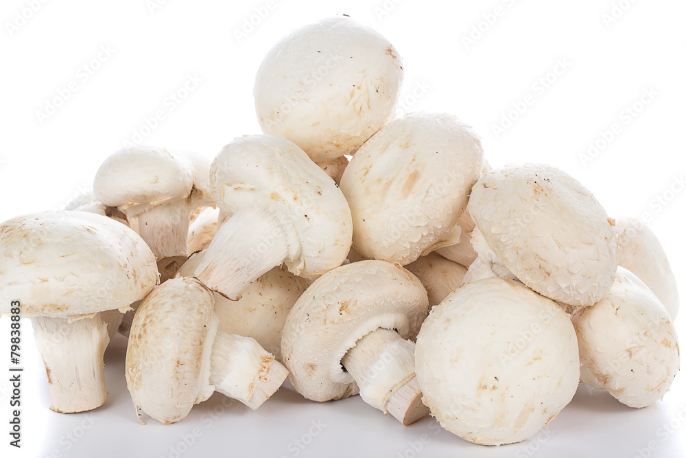 Button mushrooms on white background with reflection