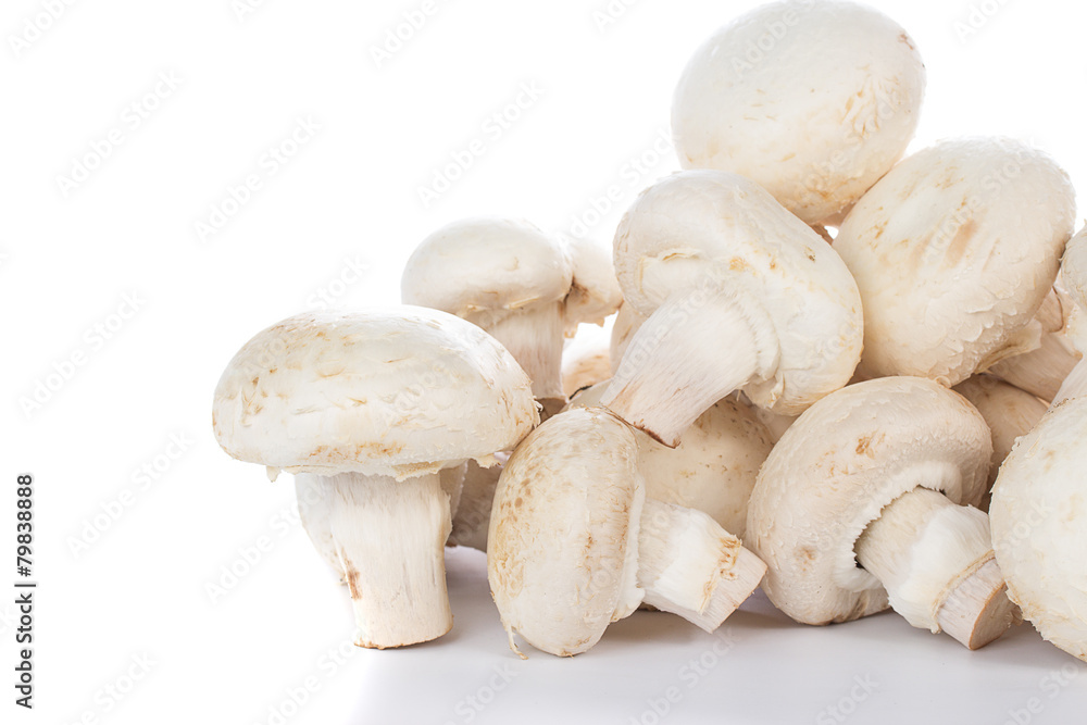 Button mushrooms on white background with reflection Button mushrooms on white background with reflection