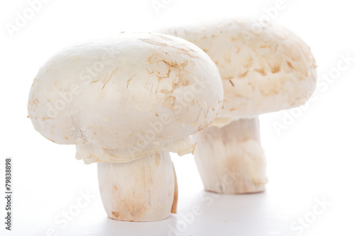Button mushrooms on white background with reflection