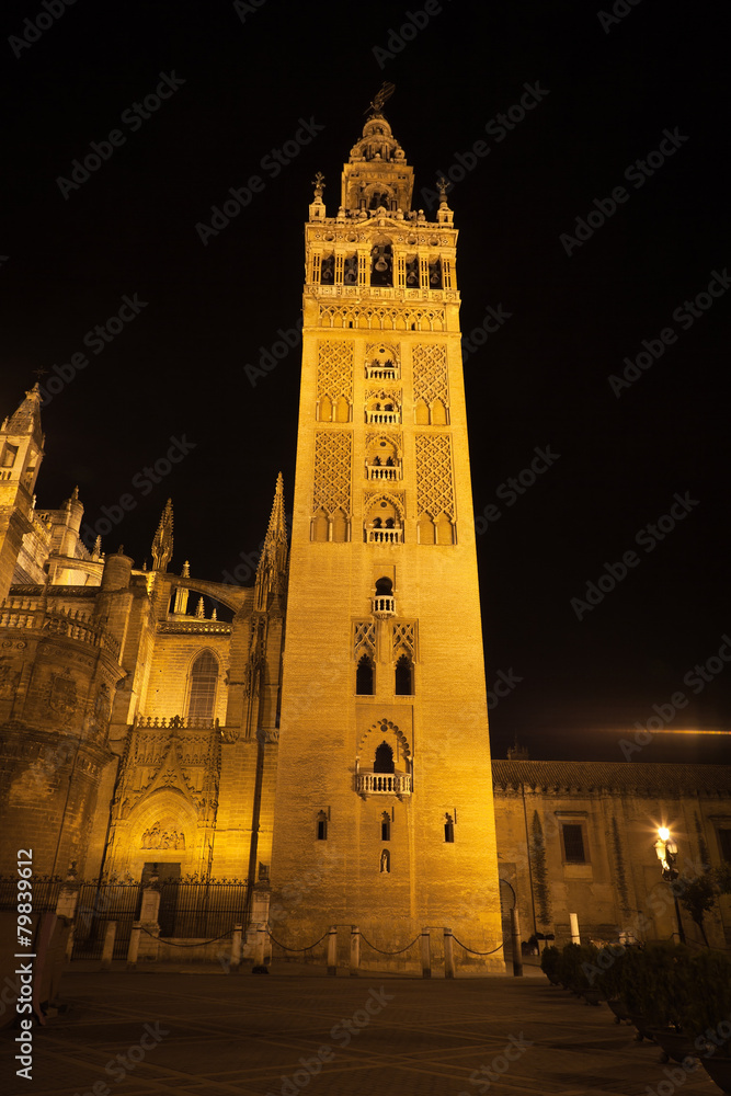 The Giralda of Seville illuminated at night. Spain