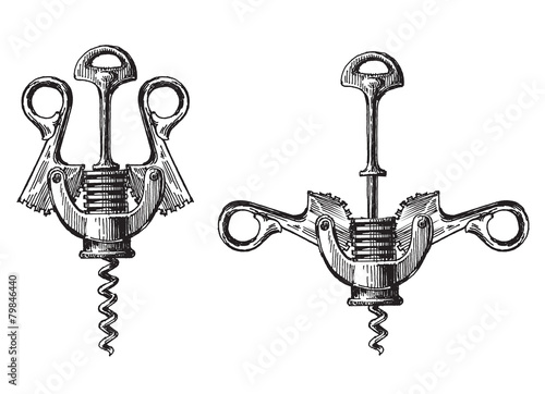 corkscrew on a white background. illustration, sketch