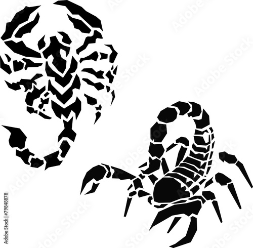 scorpion tattoo