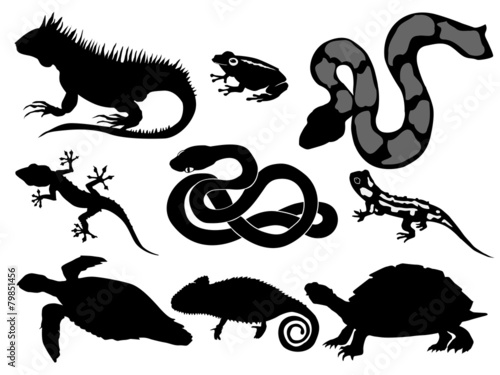 reptiles